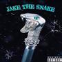 JAKE THE SNAKE (Explicit)