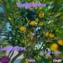 LemonTree (Explicit)