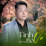 Tình Bơ Vơ