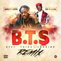 B.T.S (feat. Yp Wayger) [Remix] [Explicit]