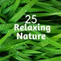 25 Relaxing Nature: Healing Sounds, relaxation Music for Meditation with the Sounds of Birds, Rain, Crickets, Wind and River