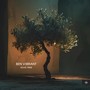 Olive Tree