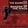 Shadow Of The Ninja