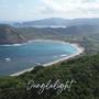 Junglelight (feat. Leni) [Explicit]