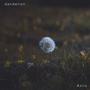 .dandelion