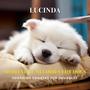 Soothing Sonatas for Snuggles: Meditative Melodies for Dogs