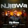 Njibwa (feat. DJ Boo, Zeze Kingston, Diktator & NyasaPiano) [Amapiano Version]