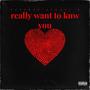 Really want to knw you (feat. Singer k) [Explicit]