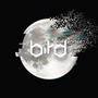 BIRD (Demo)