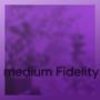 medium Fidelity