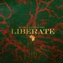 LIBERATE (feat. 9th Audio & Micah Shalom)