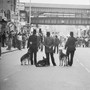 Brixton and Peckham (Explicit)