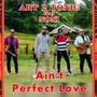 Ain't Perfect Love