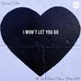 I Won't Let You Go (feat. Thori, Fumane Keys & Johnny Guitar)