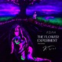 The Flower Experiment (Explicit)