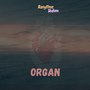 Organ (Explicit)