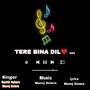 Tere Bina Dil