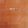 Fade In (Single Version)