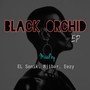 Black Orchid