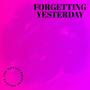 Forgetting Yesterday