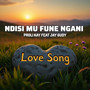 Ndisi Mu Fune Ngani
