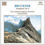 Bruckner:Symphony No.6,Wab 106 (CD) 8.553453