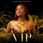 V.I.P (Explicit)