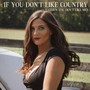 If You Don't Like Country (Then You Don't Like Me)