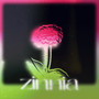 zinnia