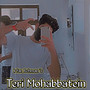 Teri Mohabbatein