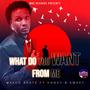 What Do You Want From Me (Explicit)