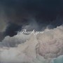 thank you（remix）
