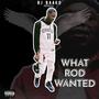 what rod wanted (Explicit)