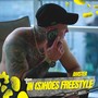 IN (S) HOES FREESTYLE [Explicit]