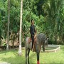 El aguacatero (Acoustic Version)