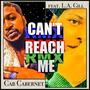 CAN'T REACH ME (feat. Cab Cabernet & L.A. Gill) [Remix] [Explicit]