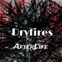 Afterlife