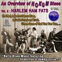 An Overview of Hokum Blues 6 Vol. - Vol. 2 : Harlem Hamfats Early blues music (20 Titles - 1936-1938)