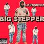 BIG STEPPER (Explicit)