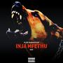 Inja Mfethu (feat. MSI) [Explicit]