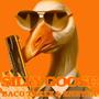 SILLY GOOSE (Explicit)