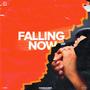 Falling Now (feat. Nanie)