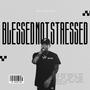 Blessed Not Stressed (Explicit)