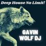 Deep House No Limit!