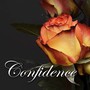 Confidence (Explicit)