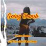 Going Dumb (feat. A.Y The Artist & Mc Chrysi) [Explicit]