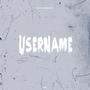 UserName