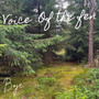 Voice Of The Fen