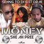 Money She Ah Pree (feat. Drae) - Single