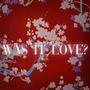 WAS IT LOVE?